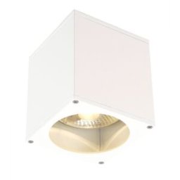 SLV BIG THEO, plafonnier extérieur, blanc, GU10/QPAR111, 75W max, IP44 - Lampes sur pied, murales et de plafond (extérieur)