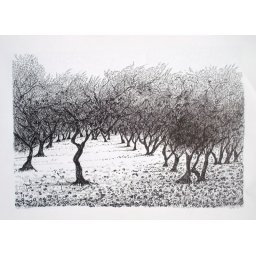 Les arbres n°1