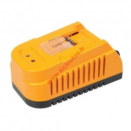 Triton T20 Chargeur rapide 1 heure T20BC
