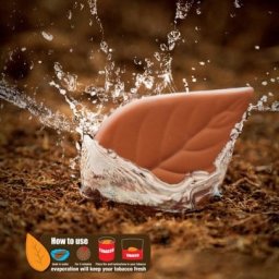 Pierre Humidificateur Tabac