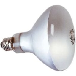 Kaiser 3125