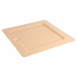Assiette carr avec encoche en cellulose naturelle fibre de canne