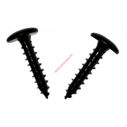 Vis penture étoile 6X50 AZI NOIR Tête Large Boite de 200