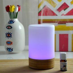 Diffuseur Ultrasonique FELISIA