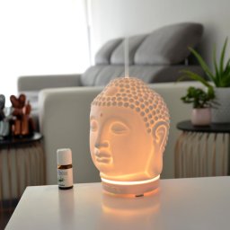 Diffuseur Ultrasonique AMIDA