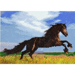 Kit broderie diamant ""cheval"", 34 x 24 cm