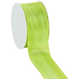 Ruban en tissu, avec bords laitonnés, vert clair, 40 mm, 10 m