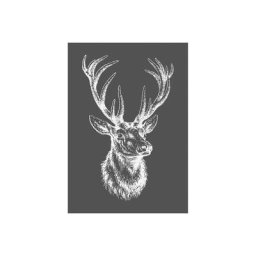 Rayher Pochoir pour sérigraphie ""tête de cerf"", 14,8 x 21 cm