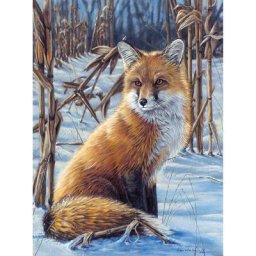 Kit peinture par numéros ""renard"", 23 x 30,5 cm