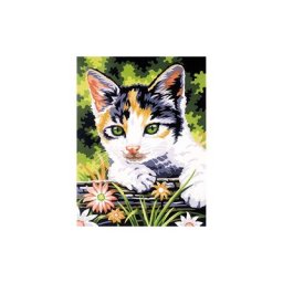 Kit peinture par numéros ""chat"", 23 x 30,5 cm