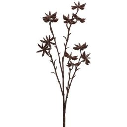 Branche avec anis étoilés, 61 cm