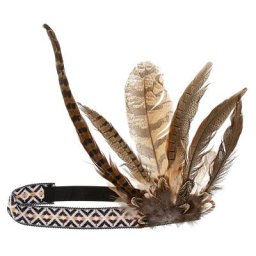 Bandeau ""rêve de plumes