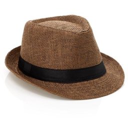 Chapeau de paille trilby