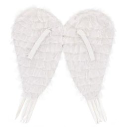 Ailes en plumes, 50 x 50 cm