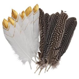 Plumes blanc, doré, marron, 12 plumes