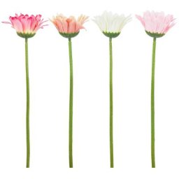 Gerberas, blanc/abricot/rose/rose foncé, 28 cm