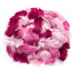 Plumes véritables, rose/vieux rose/bordeaux, 20 g = env. 160 - 170 plumes