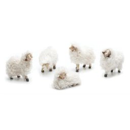 Moutons en laine, blanc, 5–6 cm, 5 pièces