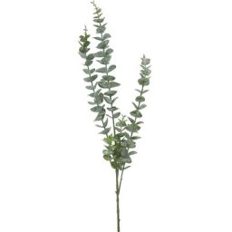 Branche d'eucalyptus artificielle, 80 cm