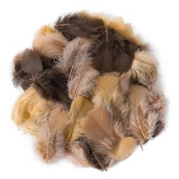 Plumes véritables, marron/café/ocre, 20 g = env. 160-170 plumes