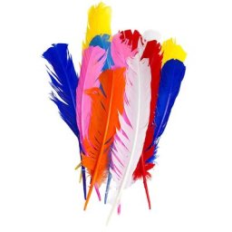 Plumes, multicolore