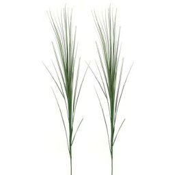 Herbes décoratives, 70 cm, 2 pièces