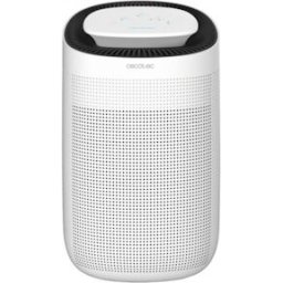 Cecotec BigDry 2500