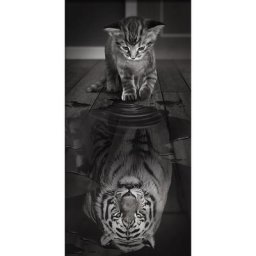 Kit broderie diamant ""petit tigre"", 30 x 60 cm