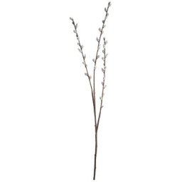 Branche de chatons de saule artificiels, 80 cm
