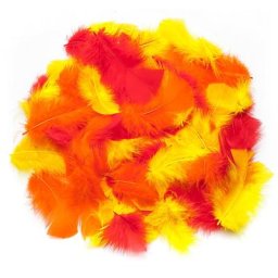 Plumes véritables, rouge/jaune/orange, 20 g = env. 160 - 170 plumes