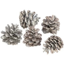 Mélange de pommes de pin véritables, marron-blanc, 250 g