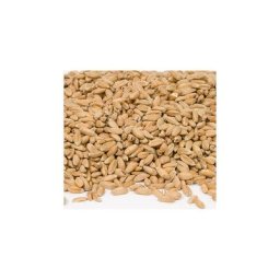 Graines d'épeautre pour rembourrage, 1000 g