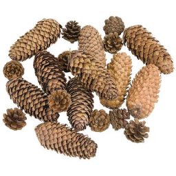 Mélange de pommes de pin, 150 g
