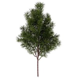 Branche de pin, 55 cm