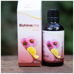 Echinacea + C-vitamin Csepp 50ml