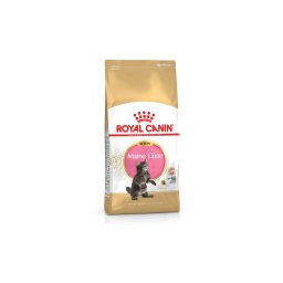 ROYAL CANIN MAINE COON KITTEN - Maine Coon kölyök macska száraz táp 2 kg