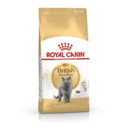 Royal Canin Feline British Shorthair száraztáp 10kg