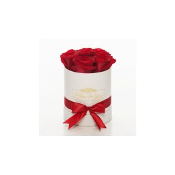 Bloom for You - Rózsadoboz (S)