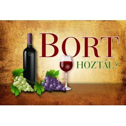 Tréfás Színes lábtörlő / Bort hoztál?