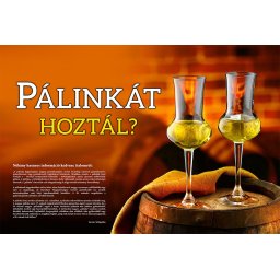Tréfás Színes lábtörlő / Pálinkát hoztál?