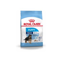 ROYAL CANIN MAXI PUPPY - nagytestű kölyök kutya száraz táp 1 kg