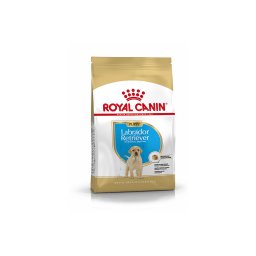 ROYAL CANIN LABRADOR JUNIOR - Labrador Retriever kölyök kutya száraz táp 3 kg