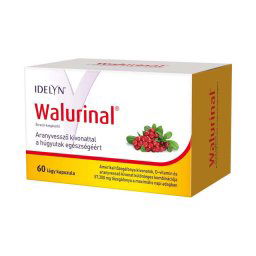 Idelyn Walurinal aranyvessző kapszula 60x