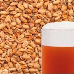 Wheat Dark Búzamaláta 10 Dkg 15 Ebc (1739)