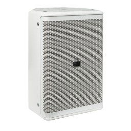 DAP Audio XI-8W MKII