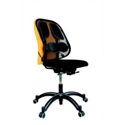 Háttámasz, FELLOWES \Professional Series™ Mesh\