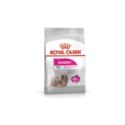 ROYAL CANIN MINI EXIGENT - száraz táp válogatós, kistestű felnőtt kutyák részére 1 kg