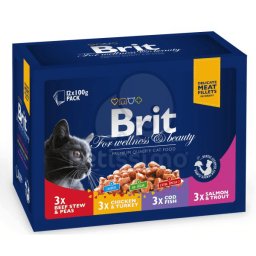 Brit Premium Cat Family multipack 12 x 100 g