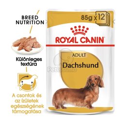 Royal Canin Dachshund Adult - Tacskó felnőtt kutya nedves táp 12 x 85 g