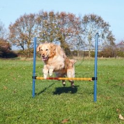 Trixie Agility - ugró akadály 123 × 115 cm / Ø 3 cm (TRX3207)